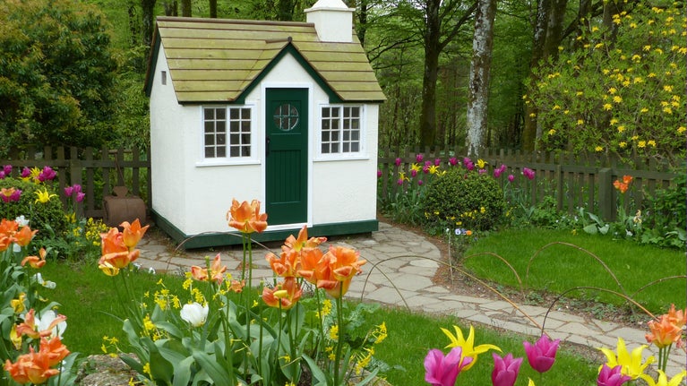 Child's playhouse with tulips in the garden